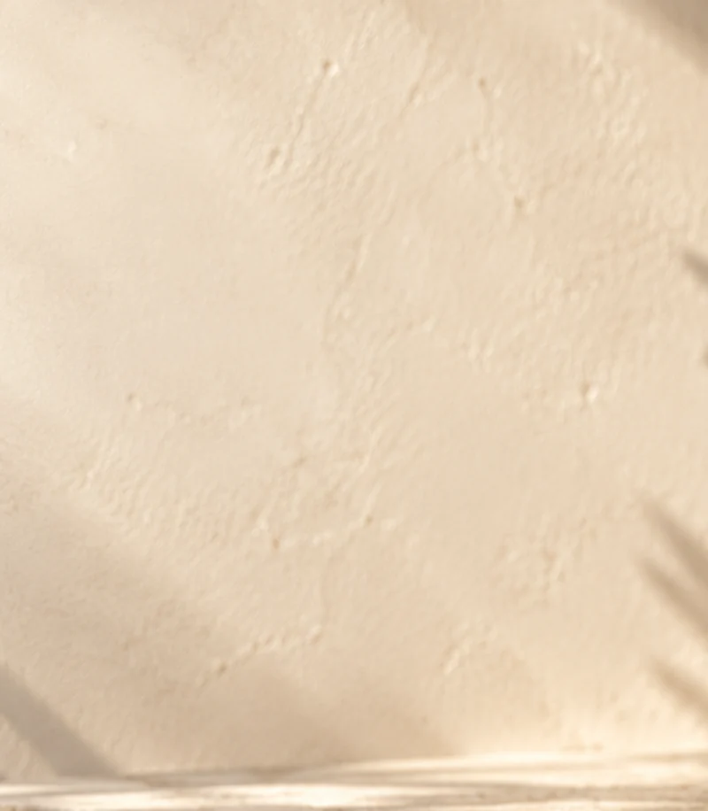 gentle leaf shadows falling across a warm ivory wall